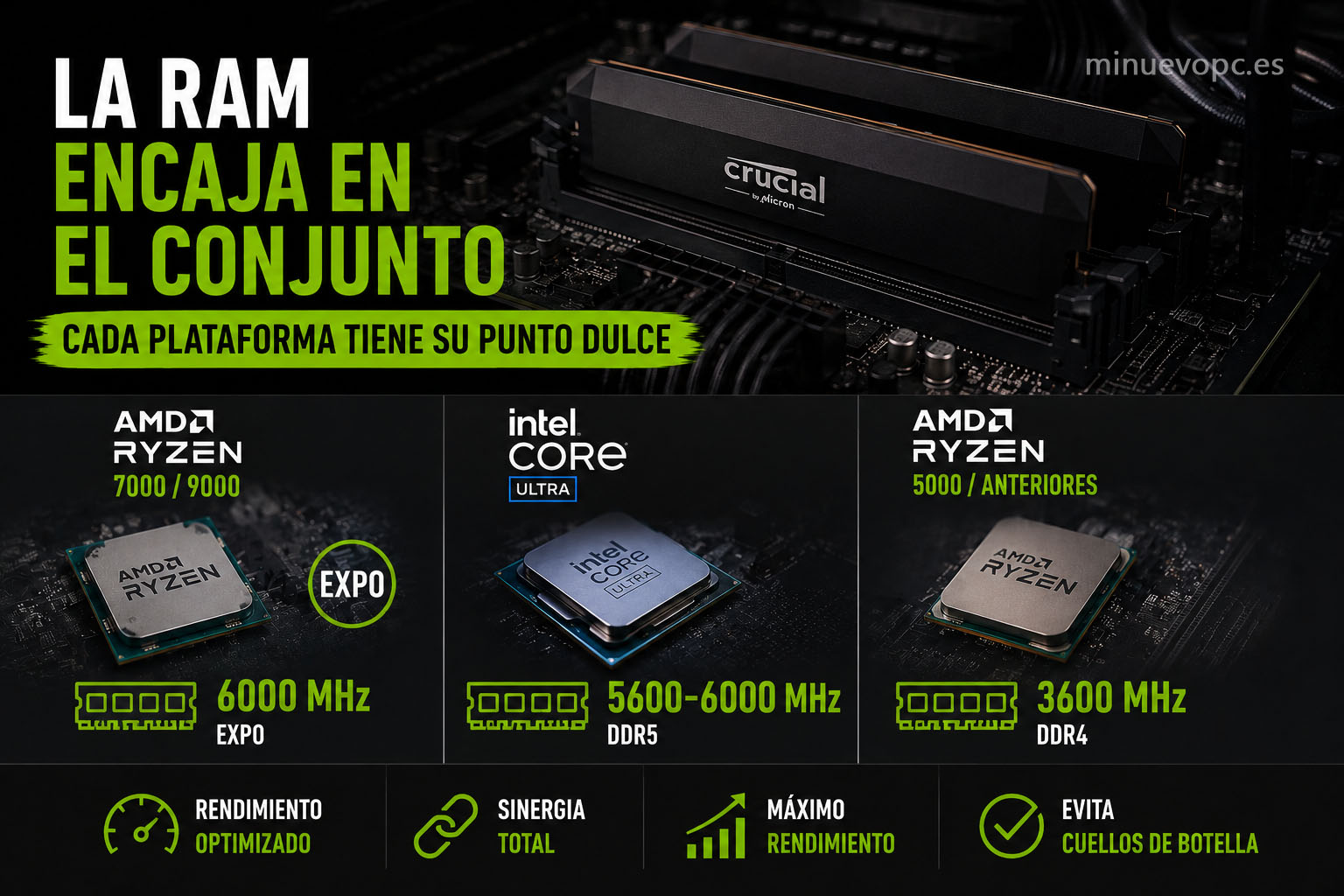 Memoria RAM optimizada para AMD Ryzen e Intel Core con frecuencias recomendadas para gaming y máxima compatibilidad